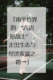 南平竹界的 “六边形战士”，走出生态与经济双赢之路→