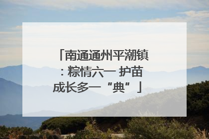 南通通州平潮镇：粽情六一 护苗成长多一“典”