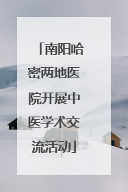 南阳哈密两地医院开展中医学术交流活动