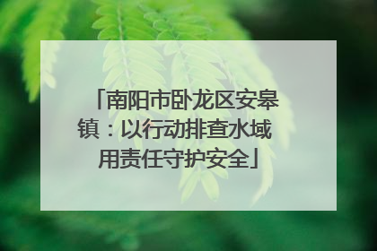 南阳市卧龙区安皋镇：以行动排查水域 用责任守护安全