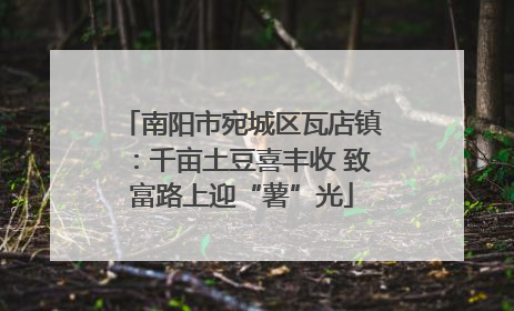 南阳市宛城区瓦店镇：千亩土豆喜丰收 致富路上迎“薯”光