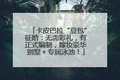 卡皮巴拉“豆包”征婚：无需彩礼，有正式编制，嫁妆豪华别墅＋专属泳池！