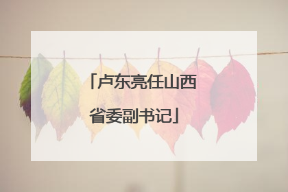 卢东亮任山西省委副书记