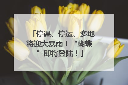 停课、停运、多地将迎大暴雨！“蝴蝶”即将登陆！