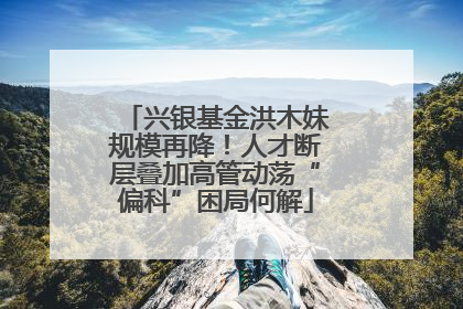 兴银基金洪木妹规模再降！人才断层叠加高管动荡“偏科”困局何解
