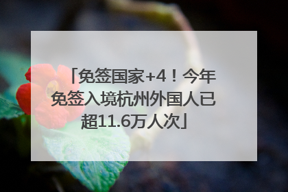 免签国家+4！今年免签入境杭州外国人已超11.6万人次