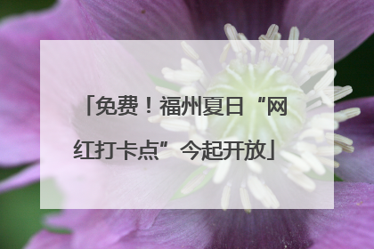 免费！福州夏日“网红打卡点”今起开放