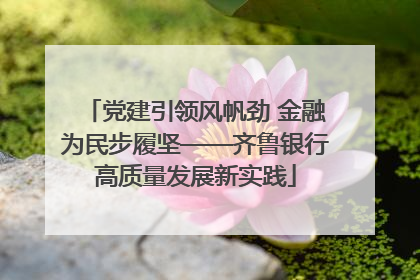 党建引领风帆劲 金融为民步履坚——齐鲁银行高质量发展新实践