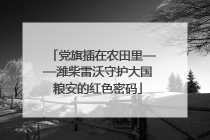 党旗插在农田里——潍柴雷沃守护大国粮安的红色密码