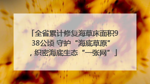 全省累计修复海草床面积938公顷 守护“海底草原”，织密海底生态“一张网”
