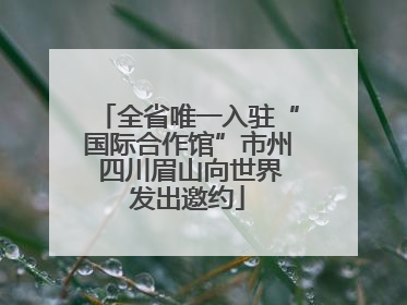 全省唯一入驻“国际合作馆”市州 四川眉山向世界发出邀约