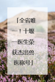 全省唯一！十堰一医生荣获杰出兽医称号