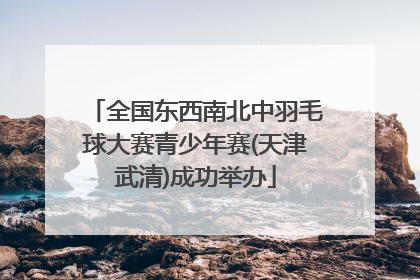 全国东西南北中羽毛球大赛青少年赛(天津武清)成功举办
