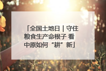 全国土地日｜守住粮食生产命根子 看中原如何“耕”新