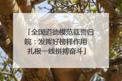 全国道德模范载誉归皖：发挥好榜样作用 扎根一线拼搏奋斗