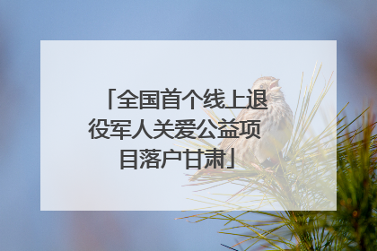 全国首个线上退役军人关爱公益项目落户甘肃