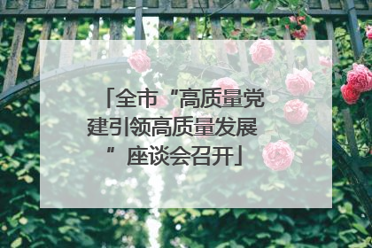 全市“高质量党建引领高质量发展”座谈会召开