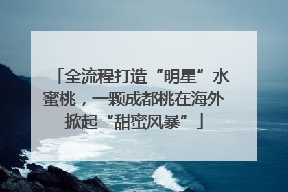 全流程打造“明星”水蜜桃，一颗成都桃在海外掀起“甜蜜风暴”