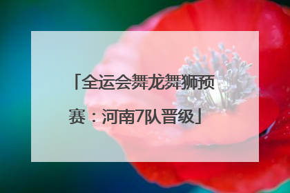 全运会舞龙舞狮预赛：河南7队晋级