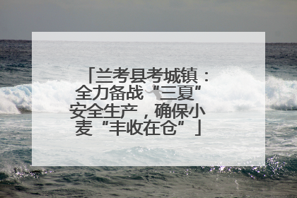 兰考县考城镇：全力备战“三夏”安全生产，确保小麦“丰收在仓”