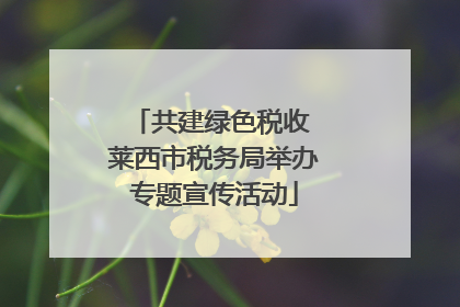共建绿色税收 莱西市税务局举办专题宣传活动