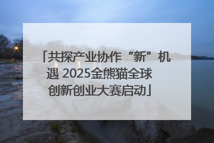 共探产业协作“新”机遇 2025金熊猫全球创新创业大赛启动
