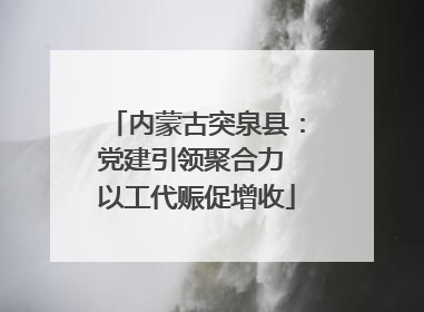 内蒙古突泉县：党建引领聚合力 以工代赈促增收