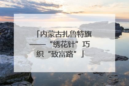 内蒙古扎鲁特旗——“绣花针”巧织“致富路”