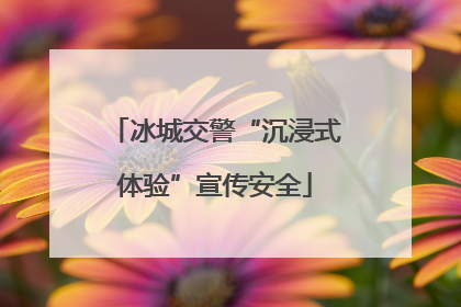 冰城交警“沉浸式体验”宣传安全