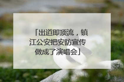 出道即顶流，镇江公安把安防宣传做成了演唱会