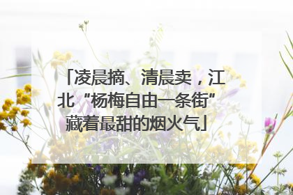 凌晨摘、清晨卖，江北“杨梅自由一条街”藏着最甜的烟火气
