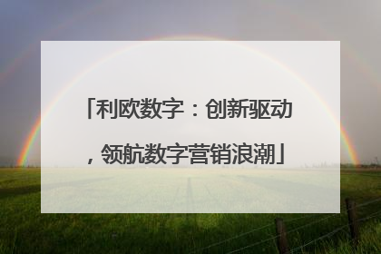 利欧数字：创新驱动，领航数字营销浪潮