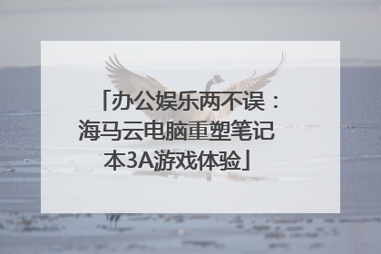办公娱乐两不误：海马云电脑重塑笔记本3A游戏体验