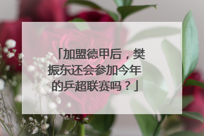 加盟德甲后，樊振东还会参加今年的乒超联赛吗？