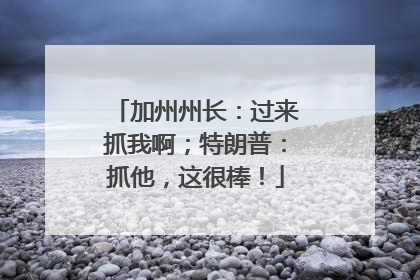 加州州长：过来抓我啊；特朗普：抓他，这很棒！