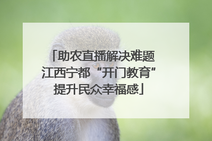 助农直播解决难题 江西宁都“开门教育”提升民众幸福感