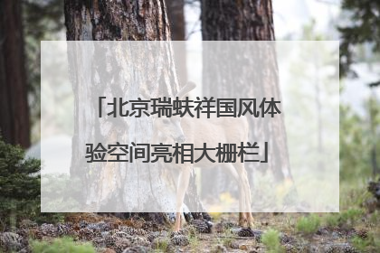 北京瑞蚨祥国风体验空间亮相大栅栏