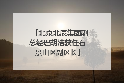 北京北辰集团副总经理胡浩获任石景山区副区长