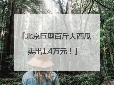 北京巨型百斤大西瓜卖出1.4万元！