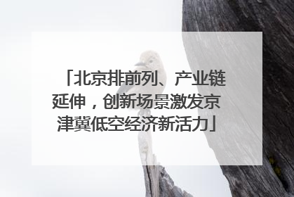 北京排前列、产业链延伸，创新场景激发京津冀低空经济新活力
