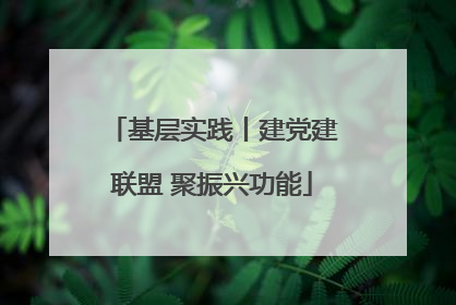 基层实践丨建党建联盟 聚振兴功能