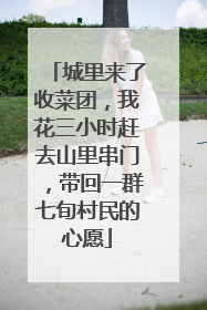 城里来了收菜团，我花三小时赶去山里串门，带回一群七旬村民的心愿