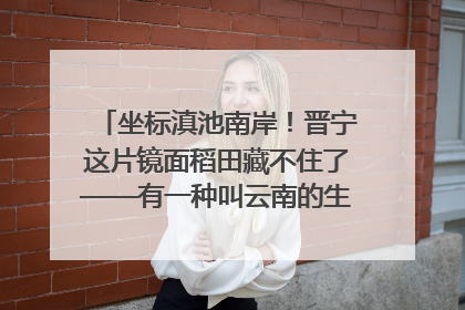 坐标滇池南岸！晋宁这片镜面稻田藏不住了——有一种叫云南的生活之365天