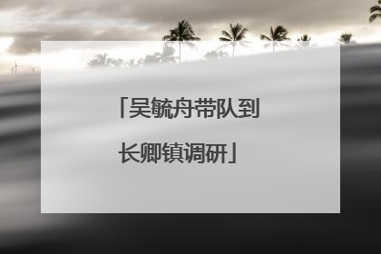 吴毓舟带队到长卿镇调研