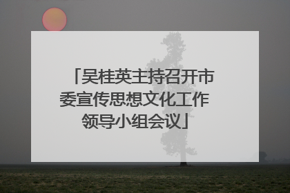 吴桂英主持召开市委宣传思想文化工作领导小组会议