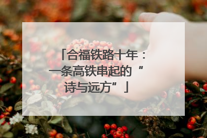 合福铁路十年：一条高铁串起的“诗与远方”
