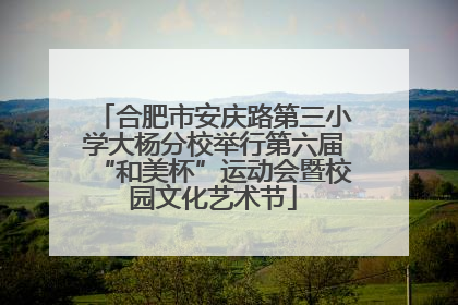 合肥市安庆路第三小学大杨分校举行第六届“和美杯”运动会暨校园文化艺术节