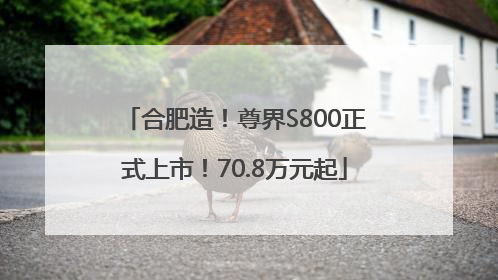 合肥造！尊界S800正式上市！70.8万元起