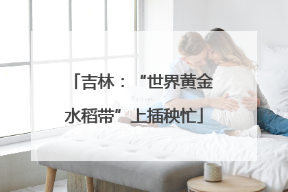 吉林：“世界黄金水稻带”上插秧忙