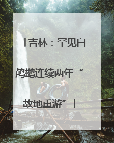 吉林：罕见白鸬鹚连续两年“故地重游”